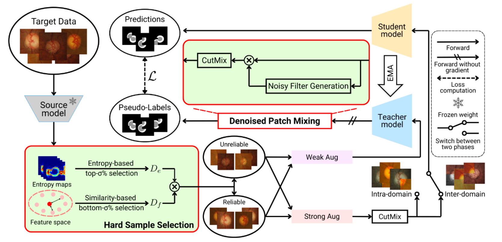 Aligning What You Separate: Denoised Patch Mixing for Source-Free Domain Adaptation in Medical Image Segmentation